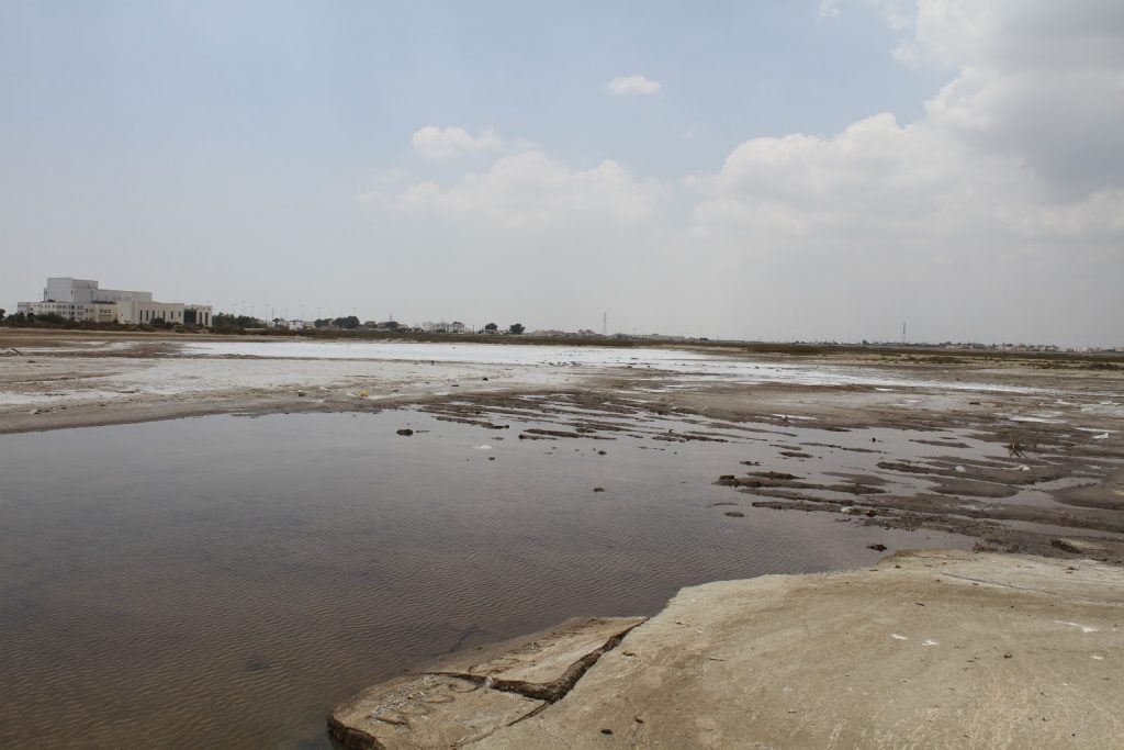 This Killifish habitat at Famagusta Bay was almost entirely dry in 2012 due to poorly planned construction works